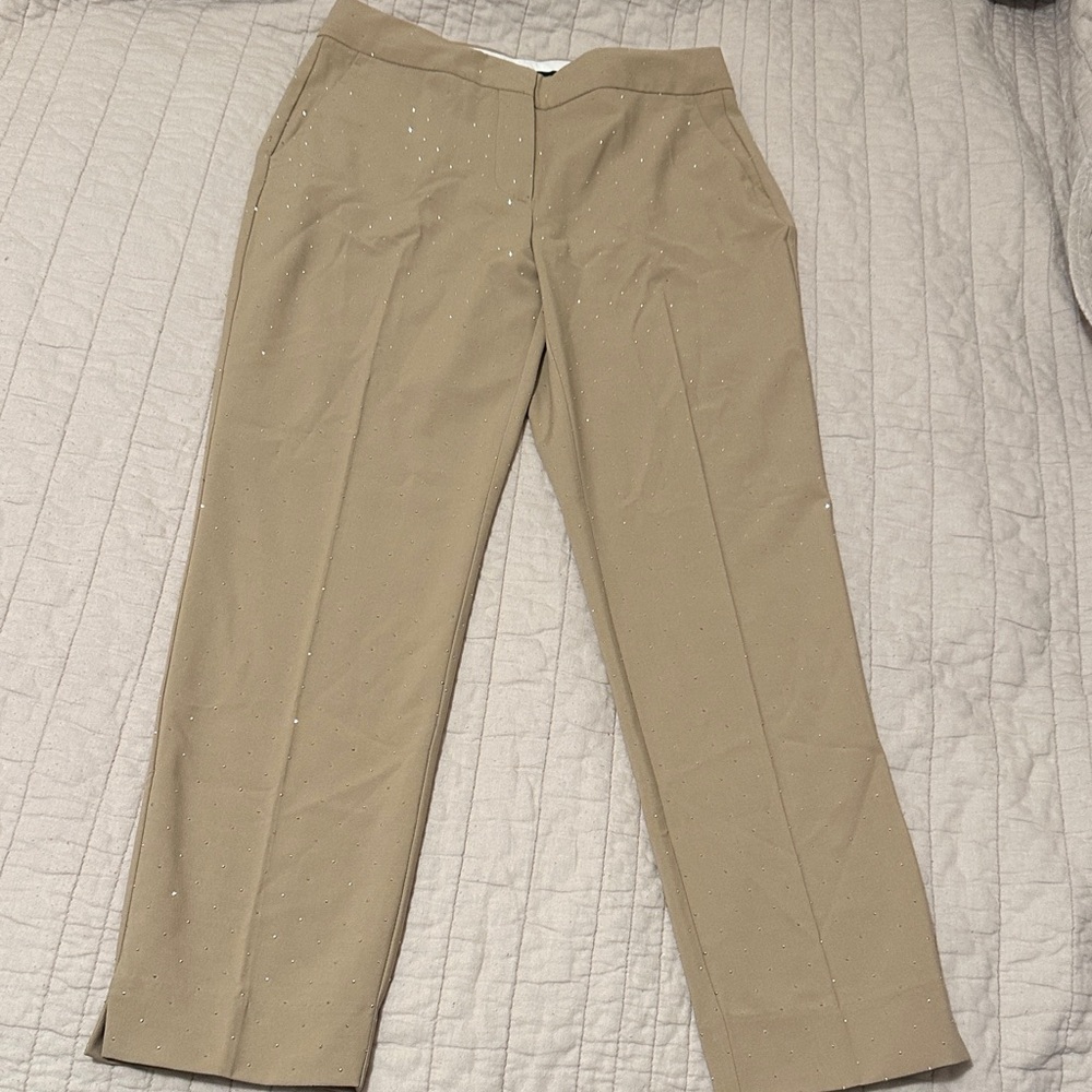 Zara Women's Tan Pants with Subtle Sparkle